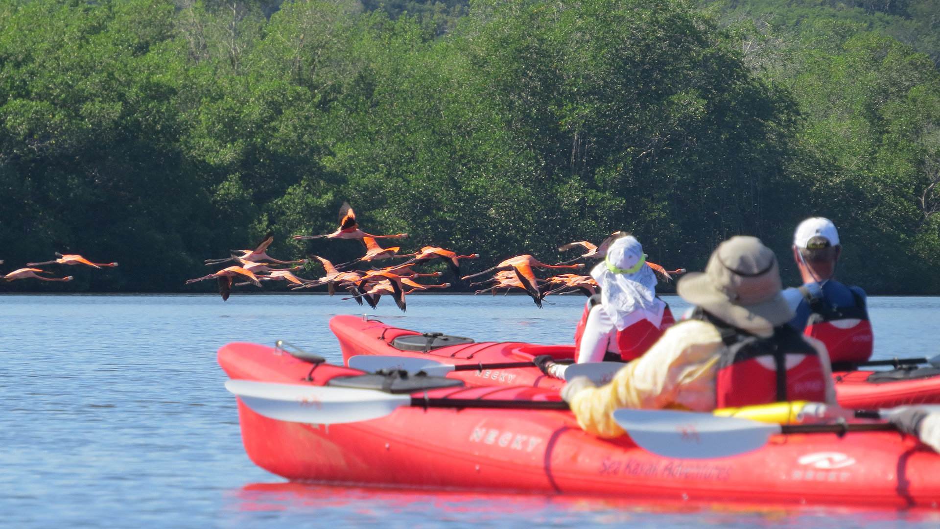 Kayaking in Cuban lakes and rivers