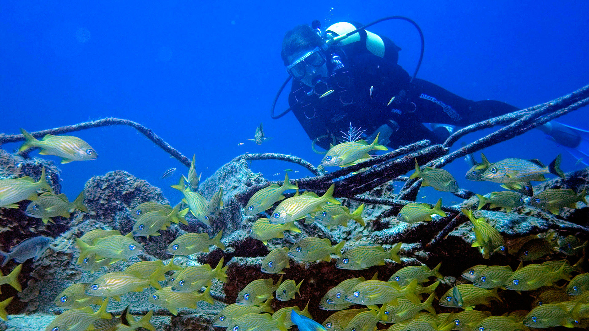 Scuba diving in Cuba surrounding sea