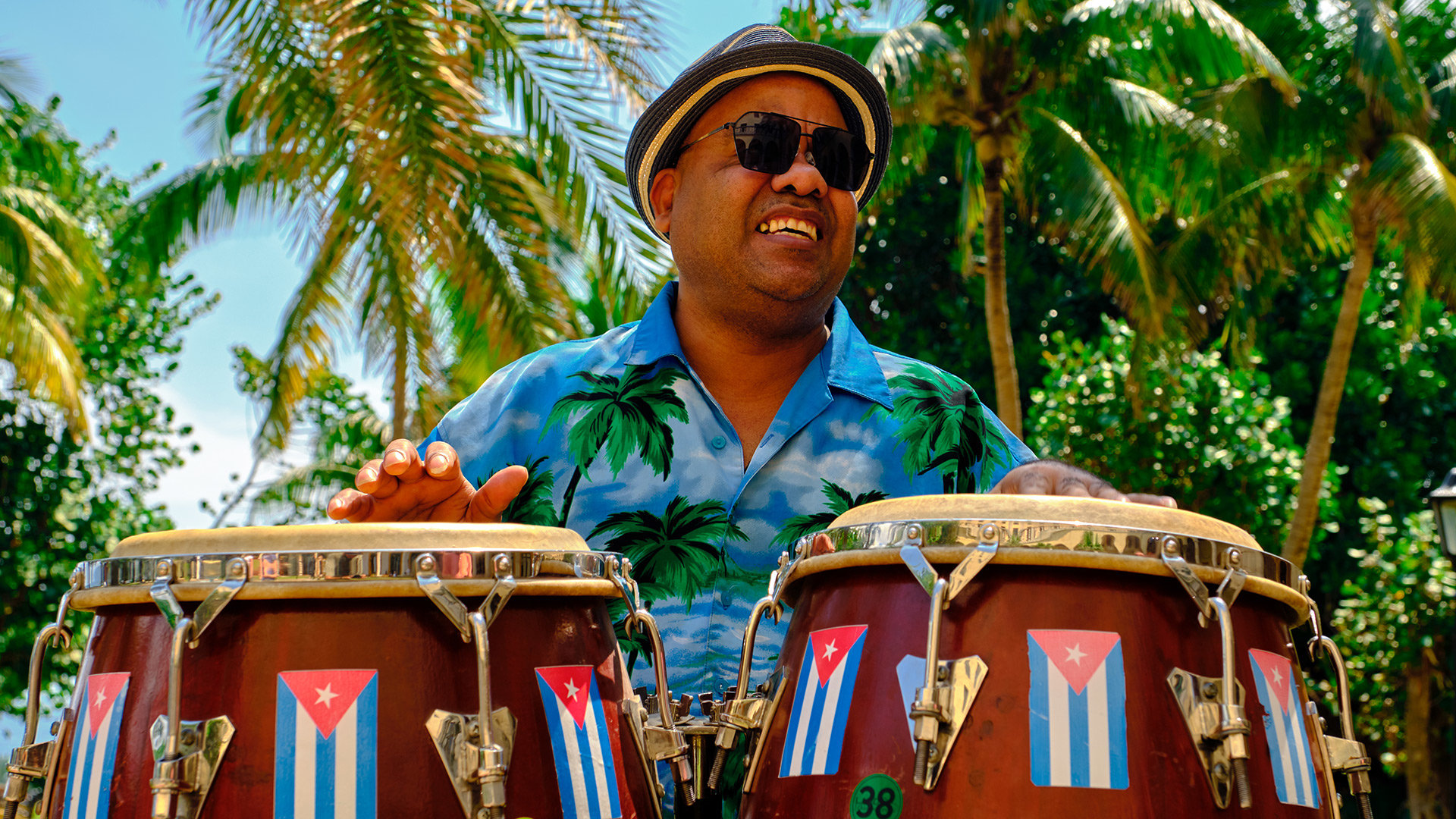 Feel the sweeping vibes and move to Cuban rhythms!