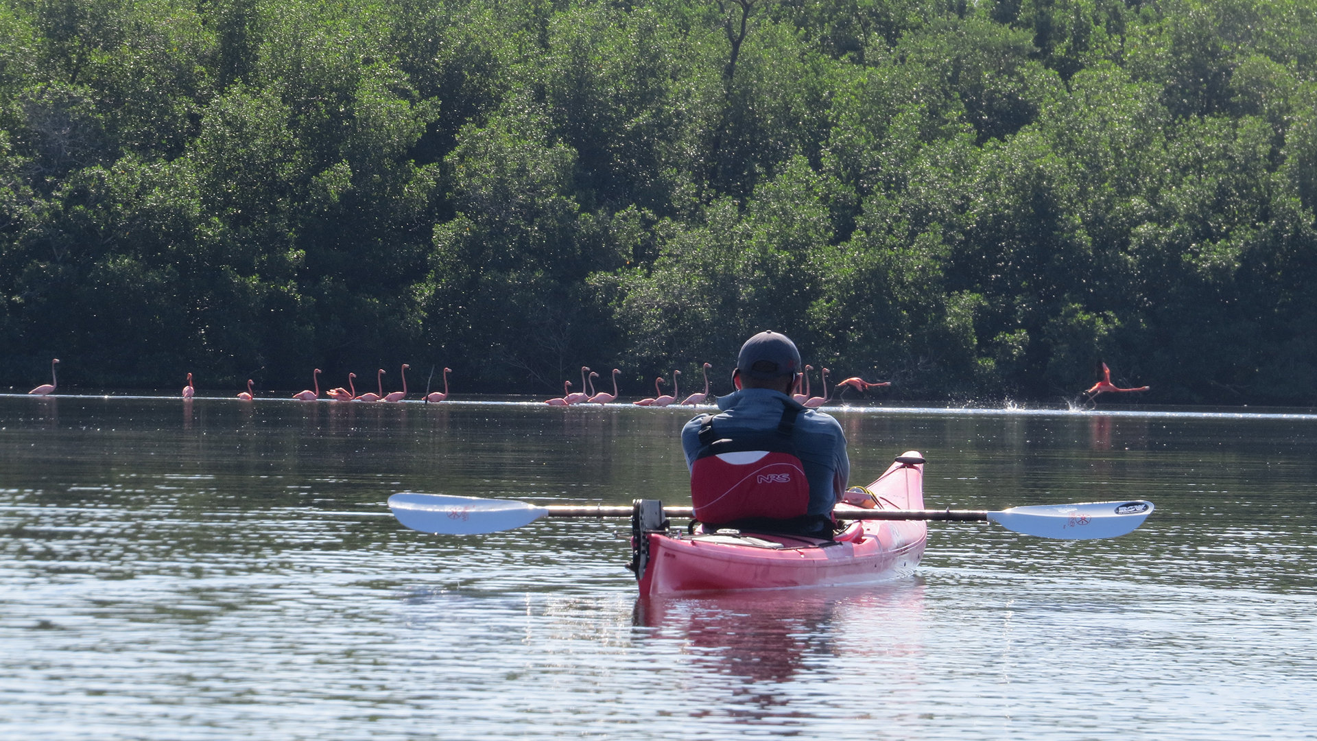 Cuba Sustainable & Authentic Cuba - 11 day Cuba Tour