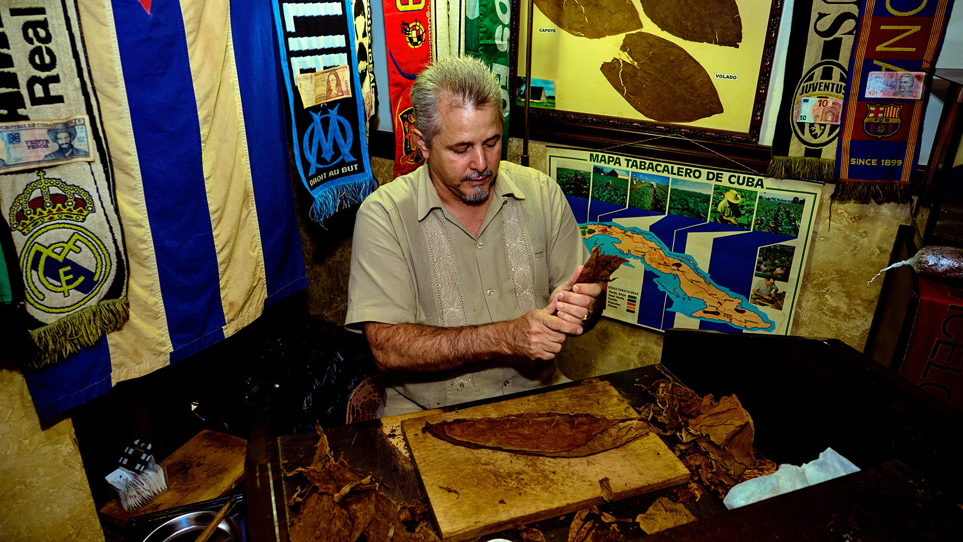 Cigar Tours and Excursions - Caribbean Tours