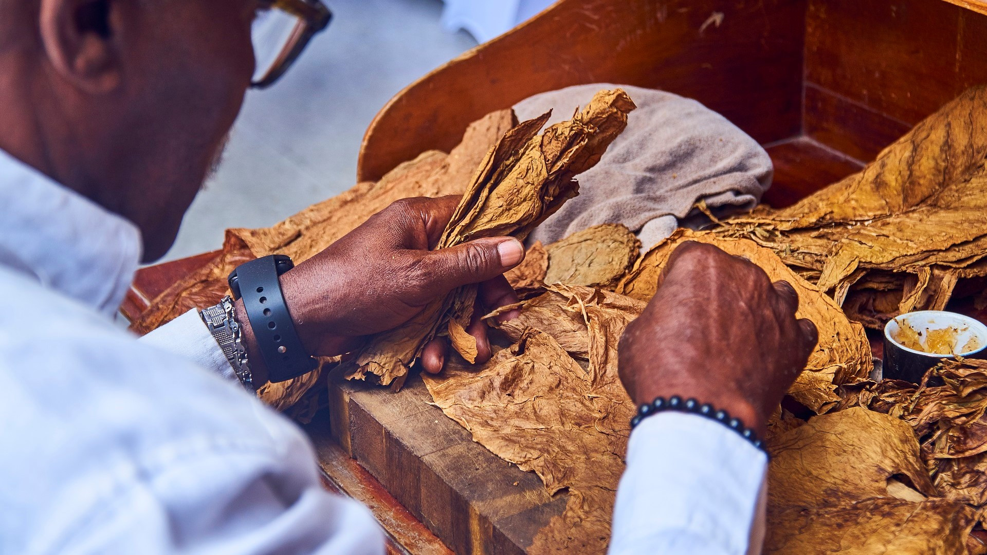 Cigar Tours and Excursions - Caribbean Tours