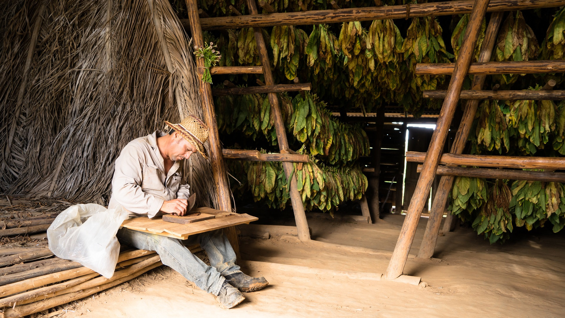 Cigar Tours and Excursions - Caribbean Tours